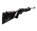 TORO_05.webp